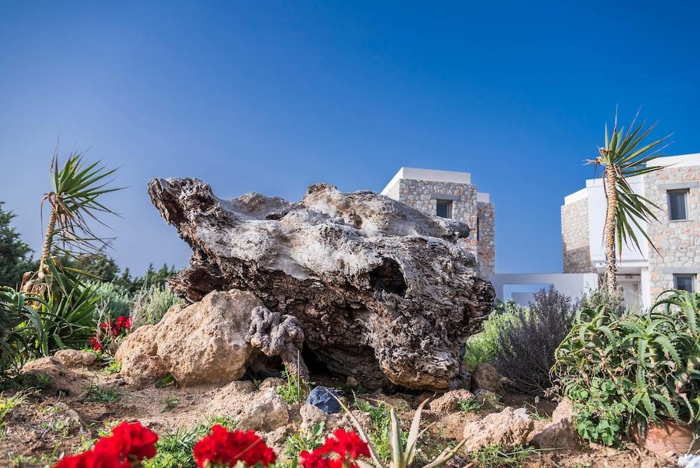 Cedar Bay Beachside Villas Palaiochora Dış mekan fotoğraf